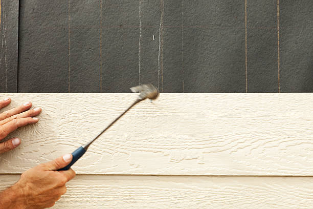 Affordable Siding Repair and Maintenance Services in Sanford, CO